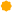 tick